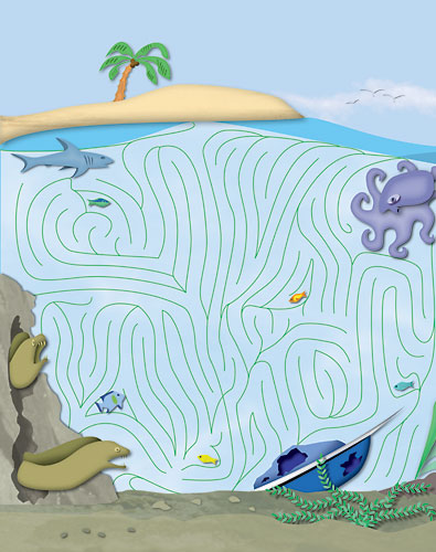 Dolphin Log back cover detail