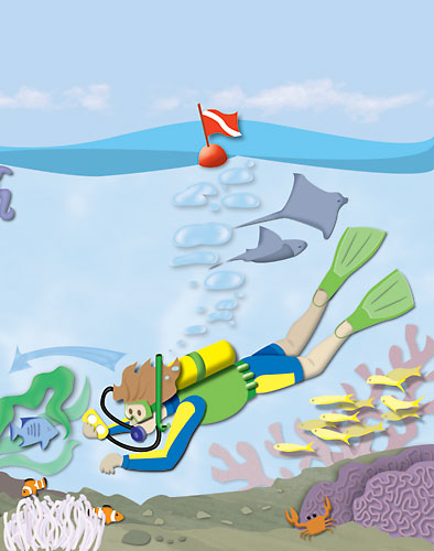 Dolphin Log front cover detail